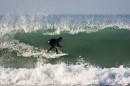 015-Porthtowan-mid-December-07-4C0R0060 * 1536 x 1024 * (266KB)